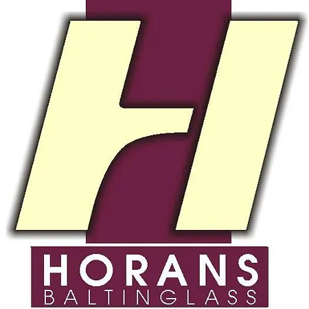 Horans Bar And Restaurant 3* Baltinglass