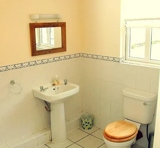 住宿加早餐酒店 Horans Bar And Restaurant Baltinglass