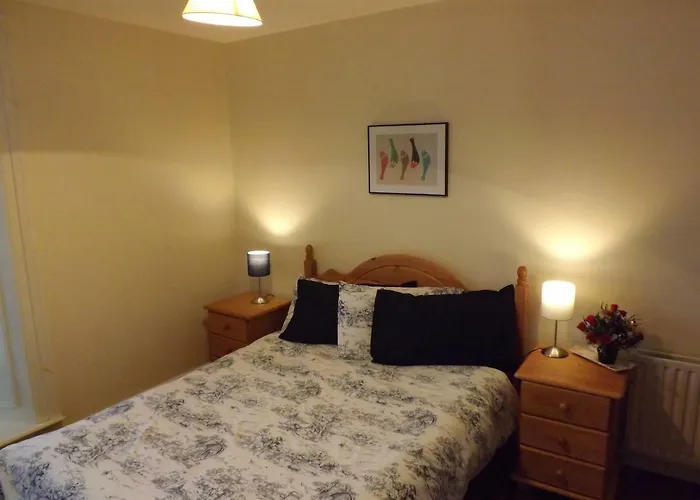 Horans Bar And Restaurant 住宿加早餐酒店 Baltinglass